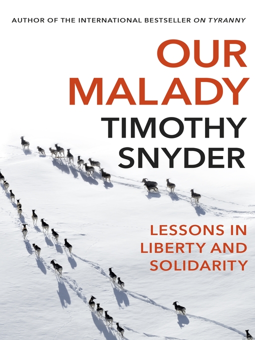 Cover image for Our Malady